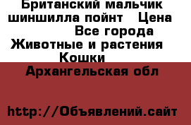 Британский мальчик шиншилла-пойнт › Цена ­ 5 000 - Все города Животные и растения » Кошки   . Архангельская обл.